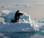 Gerçeği Söyle II: Medya