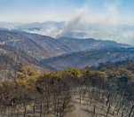 /haber/izmir-wildfire-minister-says-500-mayor-says-5-thousand-hectares-of-forestland-razed-212105