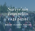 Yeni Model Askeri Güçlerin Denetiminde Bir Suriye mi? 