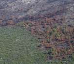/haber/parliamentary-inquiry-into-forest-fires-rejected-by-akp-and-mhp-215135