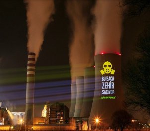 /haber/15-poison-spilling-thermal-power-plants-should-be-closed-215394