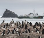 /haber/antarktika-da-penguenler-azaliyor-220073