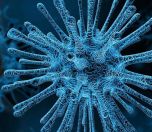/haber/tepav-raporu-koronavirus-mayista-zirve-yapacak-223354