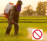 /yazi/tarim-bakanligi-yasaklanmis-pestisitlerin-kullanilmasina-goz-yumuyor-224451