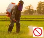 /yazi/ministry-of-agriculture-turns-a-blind-eye-to-use-of-banned-pesticides-in-turkey-224486