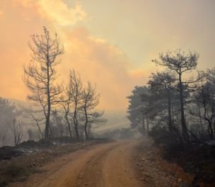 /haber/in-photos-wildfire-in-gelibolu-razes-300-hectares-of-forest-226986
