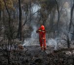 /haber/forest-fire-in-heybeliada-island-in-istanbul-1-person-arrested-227324