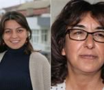 /haber/diyarbakir-da-gazeteci-ve-aktivistler-gozaltinda-227394