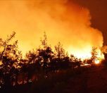 /haber/2-688-forest-fires-broke-out-in-turkey-in-2019-227710