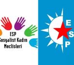 /haber/women-from-socialist-party-of-the-oppressed-detained-in-balikesir-228071