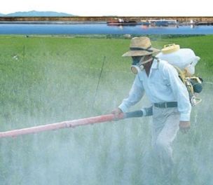 /yazi/pesticides-that-are-most-harmful-to-aquatic-life-228177
