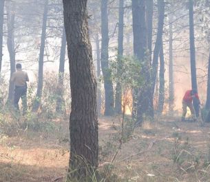 /haber/istanbul-forest-fire-leaves-1-6-hectares-razed-228529