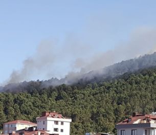 /haber/second-fire-in-a-week-in-istanbul-s-aydos-forest-228915
