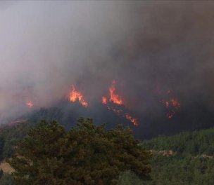 /haber/hundreds-of-houses-evacuated-due-to-wildfire-in-southern-turkey-229549