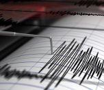 /haber/marmara-denizi-nde-4-2-buyuklugunde-deprem-231502