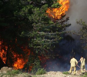 /haber/two-people-detained-over-forest-fires-in-southern-turkey-232517