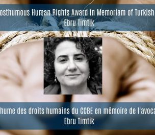 /haber/council-of-bars-and-law-societies-of-europe-grants-exceptional-award-to-lawyer-ebru-timtik-235180