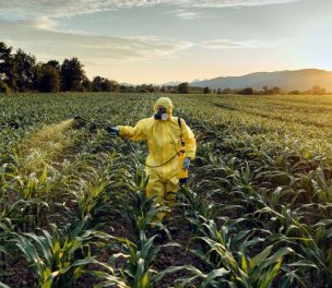 /haber/environmental-group-warns-of-increasing-pesticide-poisonings-237499