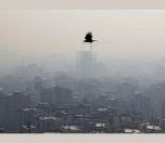 /haber/iran-da-hava-kirliligi-yilda-41-bin-700-kisiyi-olduruyor-237740