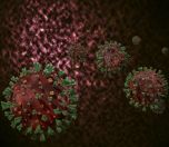 /haber/koca-128-kiside-mutasyonlu-virus-tespit-edildi-238426