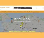 /haber/a-portal-for-stray-animals-be-a-hero-to-the-animals-on-your-street-238736