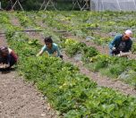 /haber/turkey-s-economic-reform-package-makes-no-mention-of-farmers-240824