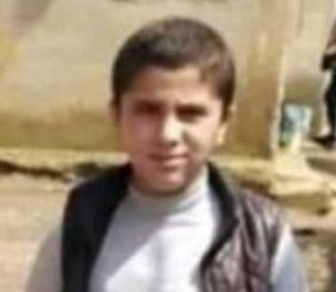 /haber/lawyers-call-for-demining-as-two-more-children-killed-by-landmines-in-sirnak-241247