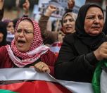 /haber/we-salute-the-palestinian-feminist-collective-244521