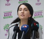 /haber/hdp-s-gunay-this-issue-is-far-beyond-peker-soylu-and-agar-244804