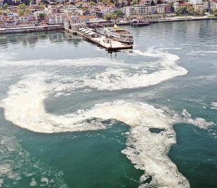 /haber/ministry-municipalities-to-meet-on-sea-snot-problem-in-marmara-245104