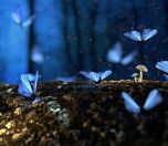 Pandemi, Kürklü Merkür ve Marmara Denizi