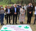/haber/lawsuit-over-hdp-s-anti-nuclear-press-statement-247762