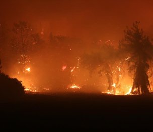 /haber/forest-fires-break-out-in-three-more-cities-in-southern-turkey-247860