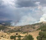 /haber/dersim-associations-slam-the-failure-to-intervene-in-forest-fires-248199