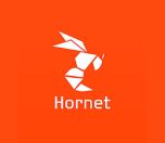 /haber/apple-removes-hornet-queer-social-network-app-from-appstore-turkey-248520