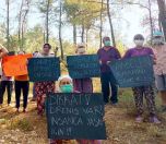 /haber/petition-for-akbelen-forest-we-won-t-surrender-it-for-coal-248569
