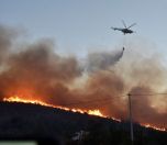 /haber/turkey-saw-1-859-forest-fires-with-unknown-causes-in-2020-248726