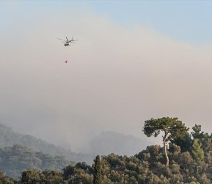 /haber/wildfires-on-ida-mountains-249220
