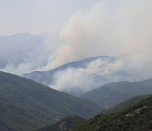 /haber/government-agencies-not-allowed-to-respond-to-wildfires-in-dersim-says-mayor-249416
