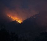 /haber/forests-in-dersim-are-burned-consciously-this-is-official-policy-249525