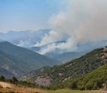 /haber/forest-fires-raging-across-turkey-s-4-eastern-provinces-no-response-249546