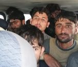 /haber/operation-against-refugees-in-van-250167