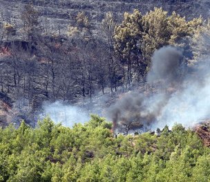 /haber/ministry-permits-hotel-project-on-mugla-s-burned-forest-areas-250348