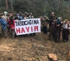 /haber/1-500-trees-to-be-cut-down-in-ayman-highland-villagers-protesting-250389