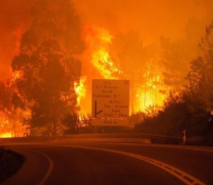 /haber/mediterranean-countries-sign-climate-change-declaration-after-summer-wildfires-250696