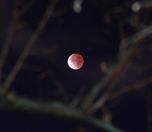 /haber/son-581-yilin-en-uzun-ay-tutulmasi-yasaniyor-253628