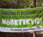 /haber/court-cancels-municipality-s-tender-validebag-will-remain-a-grove-253903