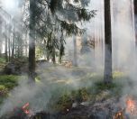 /haber/wildfires-wreaked-havoc-this-year-turkey-was-the-first-hit-in-july-254496