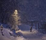 /haber/heavy-snowfall-across-turkey-roads-closed-flights-cancelled-256652