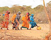 /haber/somali-de-1-milyon-kisi-kurakliktan-evlerini-terk-edebilir-256763